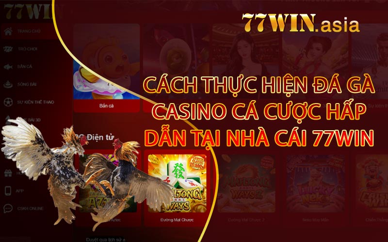 Cách thực hiện đá gà Casino cá cược hấp dẫn tại nhà cái 77win